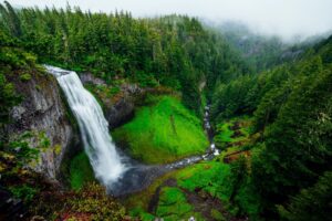 Waterfall in lush forest